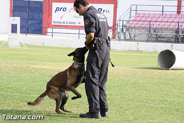 Exhibicin Guas Caninos Detectores de Drogas - 178