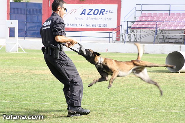 Exhibicin Guas Caninos Detectores de Drogas - 180