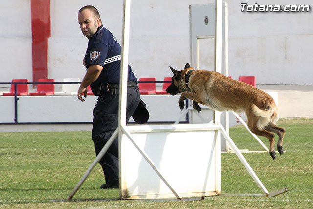 Exhibicin Guas Caninos Detectores de Drogas - 183