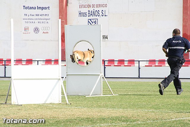 Exhibicin Guas Caninos Detectores de Drogas - 185