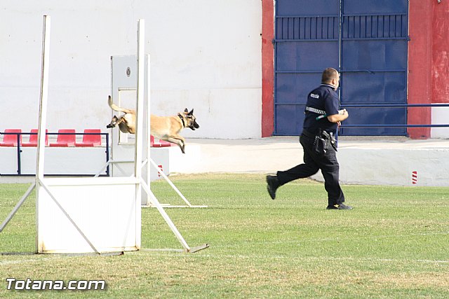 Exhibicin Guas Caninos Detectores de Drogas - 186