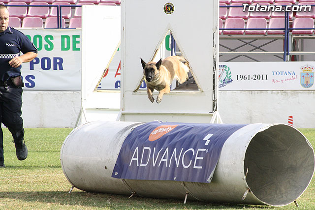 Exhibicin Guas Caninos Detectores de Drogas - 187