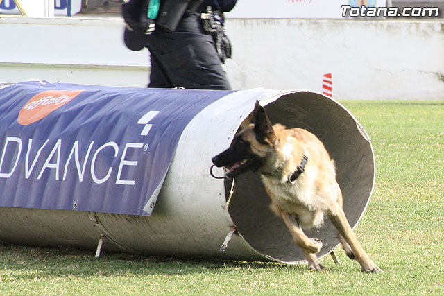Exhibicin Guas Caninos Detectores de Drogas - 188