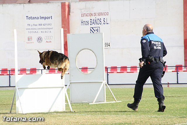 Exhibicin Guas Caninos Detectores de Drogas - 191