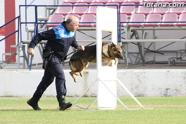 Exhibicin Guas Caninos Detectores de Drogas - 193