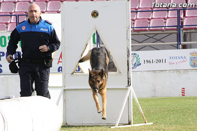 Exhibicin Guas Caninos Detectores de Drogas - 194