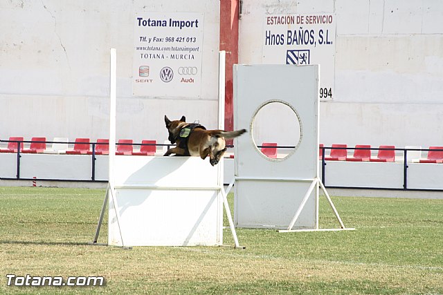 Exhibicin Guas Caninos Detectores de Drogas - 197