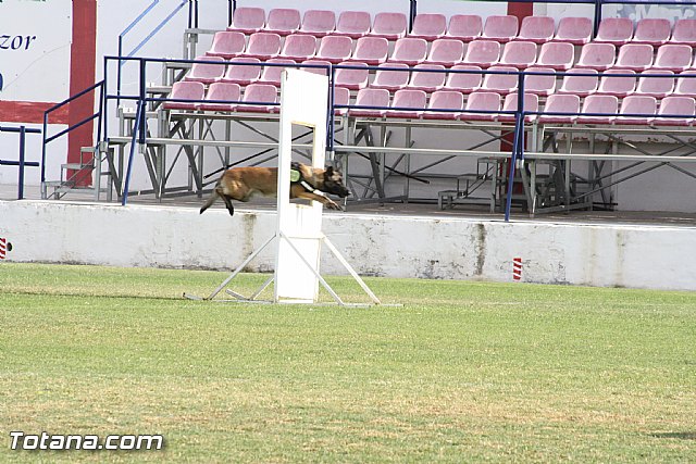 Exhibicin Guas Caninos Detectores de Drogas - 198