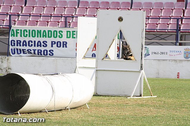Exhibicin Guas Caninos Detectores de Drogas - 199