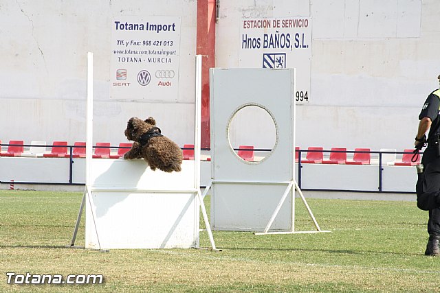 Exhibicin Guas Caninos Detectores de Drogas - 201