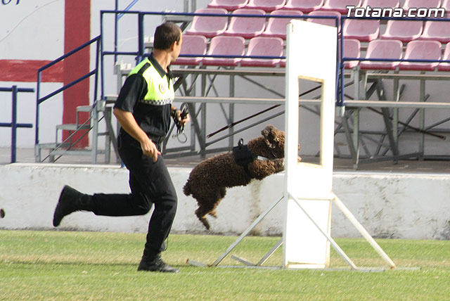 Exhibicin Guas Caninos Detectores de Drogas - 203
