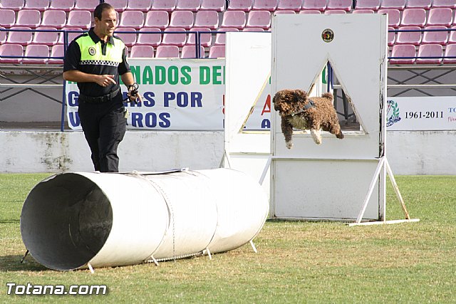 Exhibicin Guas Caninos Detectores de Drogas - 204