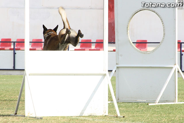 Exhibicin Guas Caninos Detectores de Drogas - 208