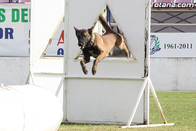 Exhibicin Guas Caninos Detectores de Drogas - 210