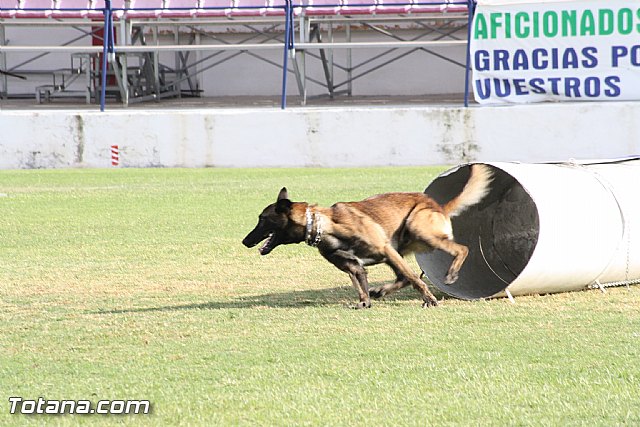 Exhibicin Guas Caninos Detectores de Drogas - 211