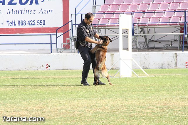 Exhibicin Guas Caninos Detectores de Drogas - 212
