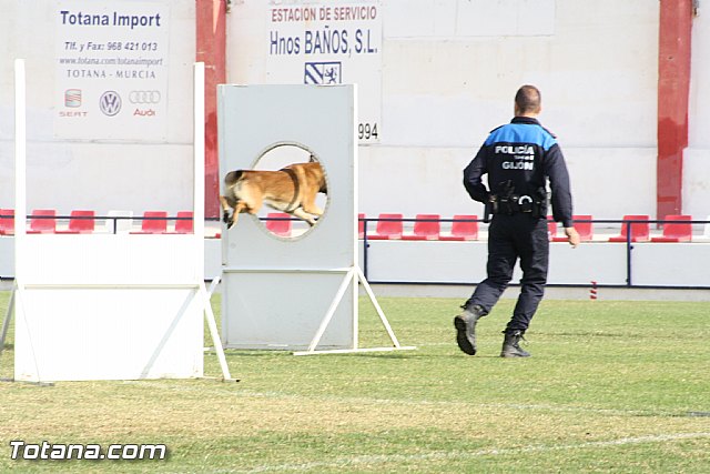 Exhibicin Guas Caninos Detectores de Drogas - 213