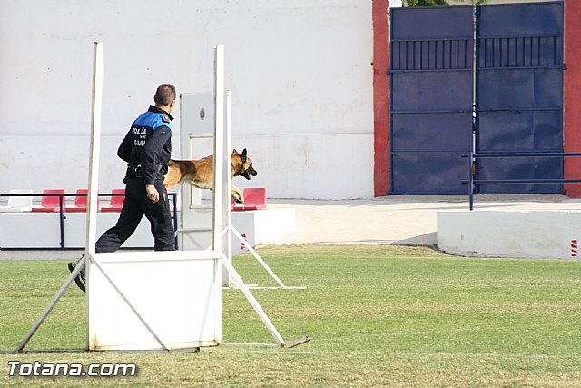 Exhibicin Guas Caninos Detectores de Drogas - 214