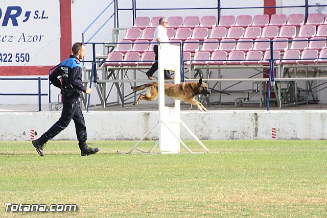 Exhibicin Guas Caninos Detectores de Drogas - 215
