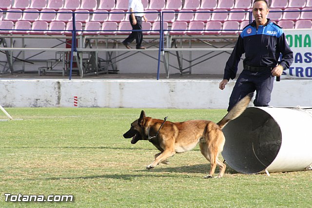 Exhibicin Guas Caninos Detectores de Drogas - 217
