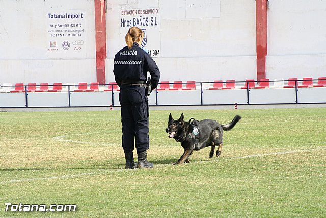 Exhibicin Guas Caninos Detectores de Drogas - 218
