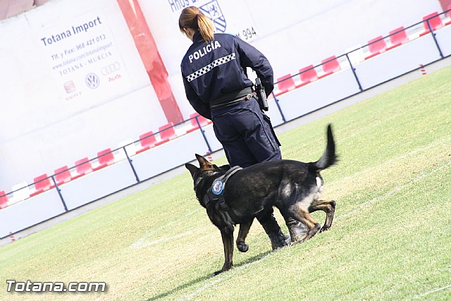 Exhibicin Guas Caninos Detectores de Drogas - 219