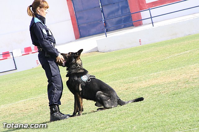 Exhibicin Guas Caninos Detectores de Drogas - 224