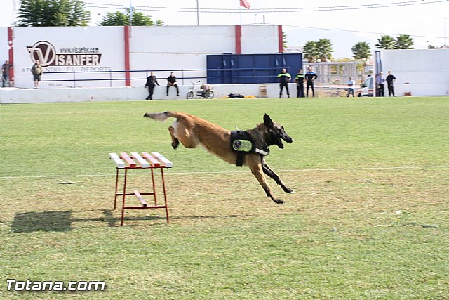 Exhibicin Guas Caninos Detectores de Drogas - 231