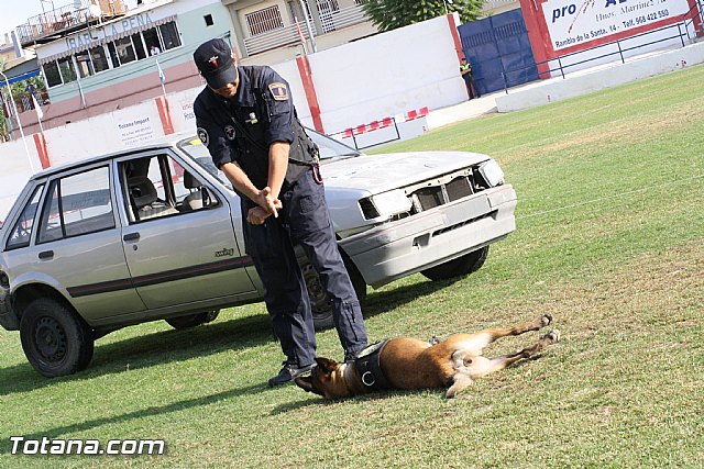 Exhibicin Guas Caninos Detectores de Drogas - 233
