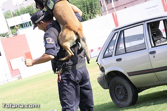 Exhibicin Guas Caninos Detectores de Drogas - 237