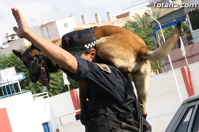 Exhibicin Guas Caninos Detectores de Drogas - 238