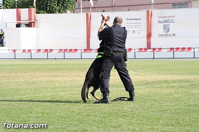 Exhibicin Guas Caninos Detectores de Drogas - 241