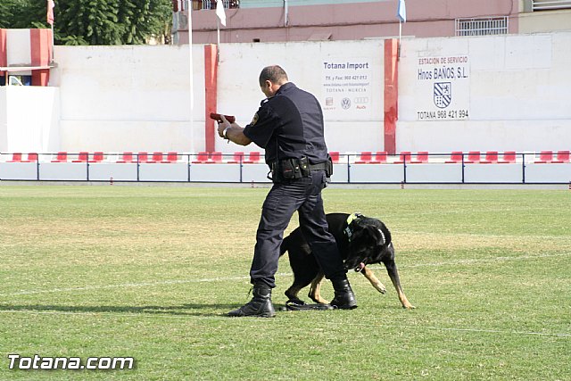 Exhibicin Guas Caninos Detectores de Drogas - 242
