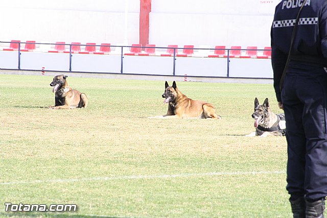 Exhibicin Guas Caninos Detectores de Drogas - 247