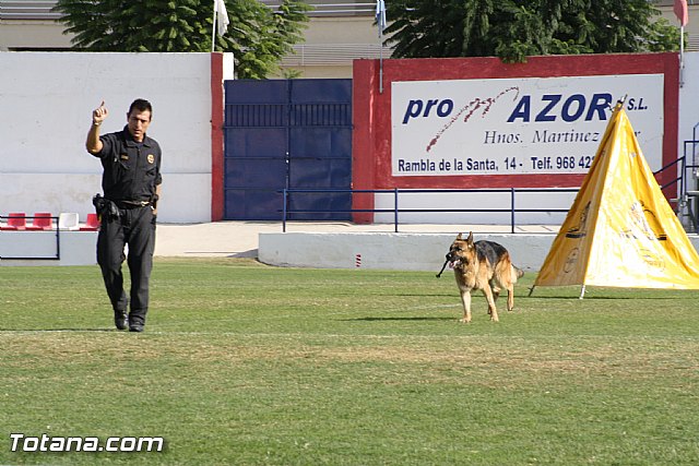 Exhibicin Guas Caninos Detectores de Drogas - 253