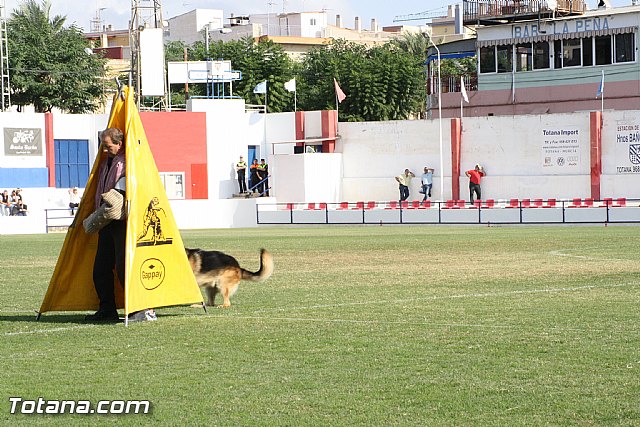 Exhibicin Guas Caninos Detectores de Drogas - 254
