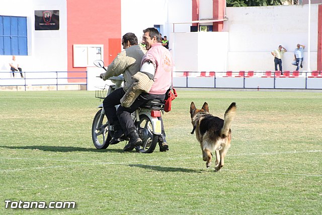 Exhibicin Guas Caninos Detectores de Drogas - 268