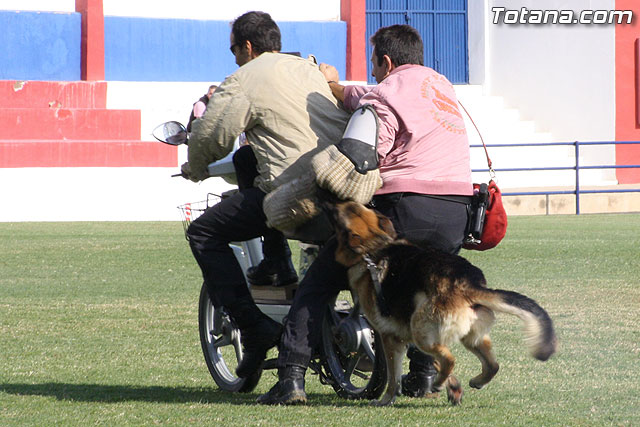 Exhibicin Guas Caninos Detectores de Drogas - 269