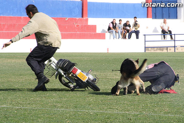 Exhibicin Guas Caninos Detectores de Drogas - 270