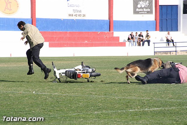 Exhibicin Guas Caninos Detectores de Drogas - 271