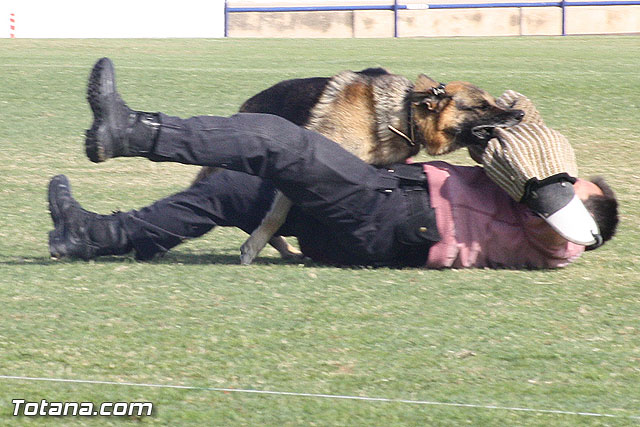 Exhibicin Guas Caninos Detectores de Drogas - 272
