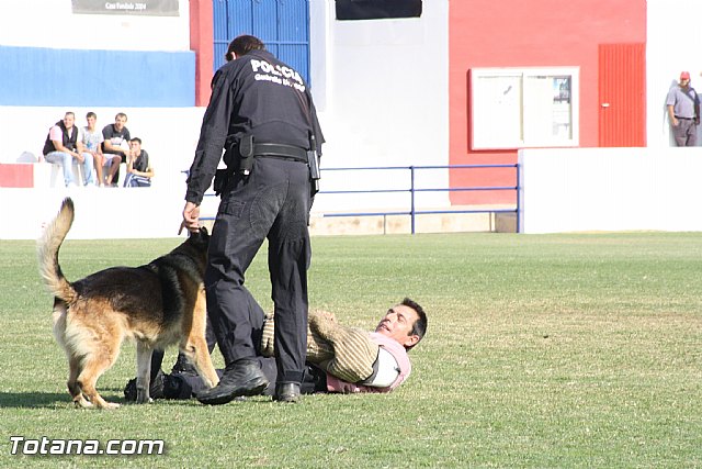 Exhibicin Guas Caninos Detectores de Drogas - 276