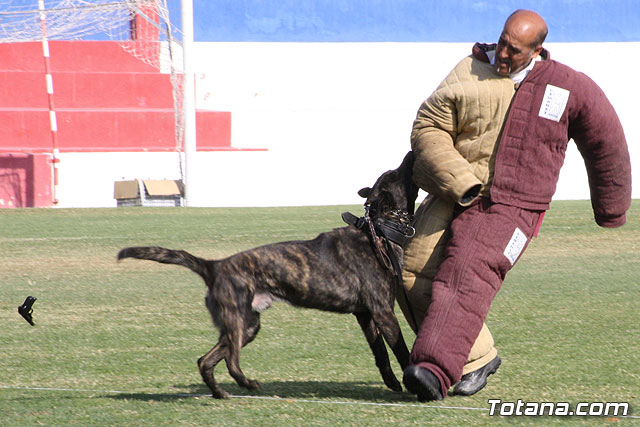 Exhibicin Guas Caninos Detectores de Drogas - 284