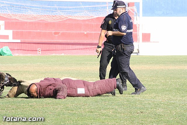 Exhibicin Guas Caninos Detectores de Drogas - 286