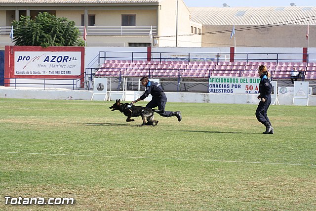 Exhibicin Guas Caninos Detectores de Drogas - 288