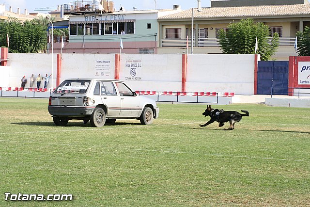 Exhibicin Guas Caninos Detectores de Drogas - 289