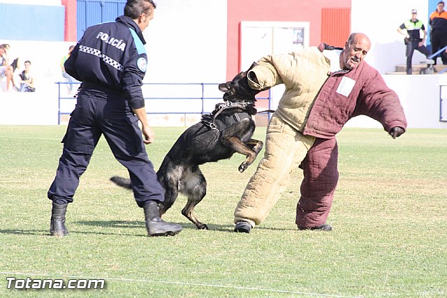Exhibicin Guas Caninos Detectores de Drogas - 291