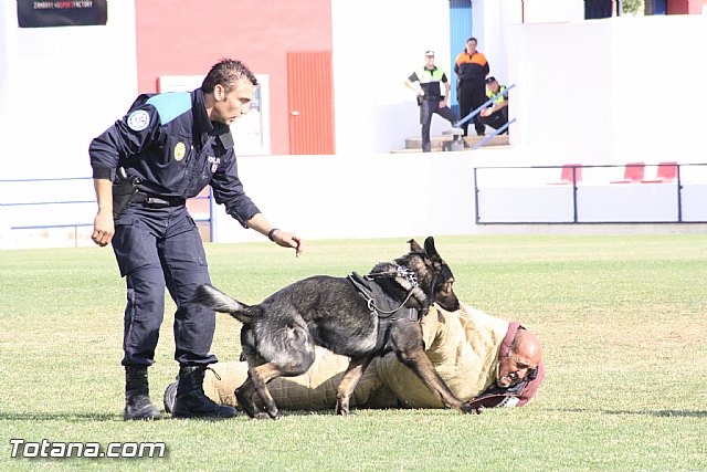 Exhibicin Guas Caninos Detectores de Drogas - 292