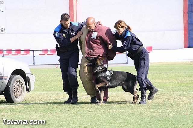 Exhibicin Guas Caninos Detectores de Drogas - 293