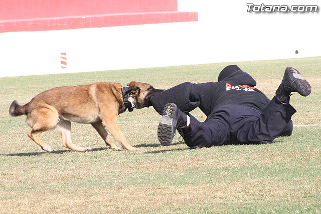 Exhibicin Guas Caninos Detectores de Drogas - 303